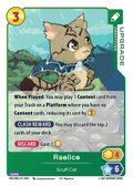 Scuff Cat Upgrade SUPA HKS-017